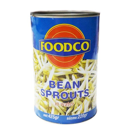 FoodCo Bean Sprouts 425gr